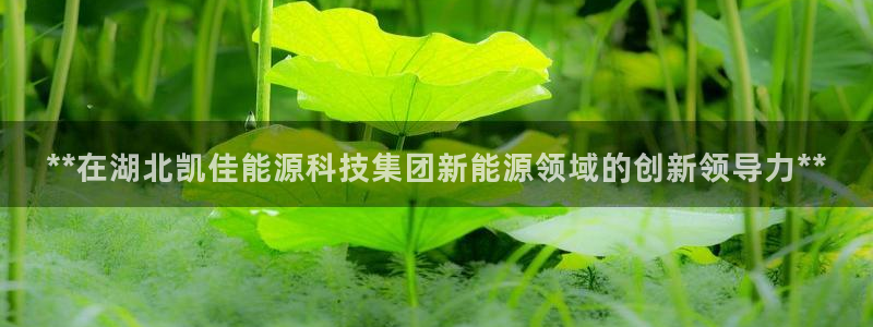 sunbet游戏网