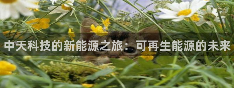 sunbet手机app版