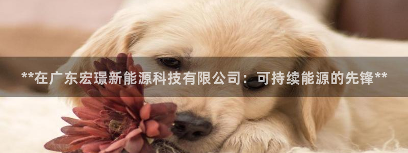 申博官网手机版下载app