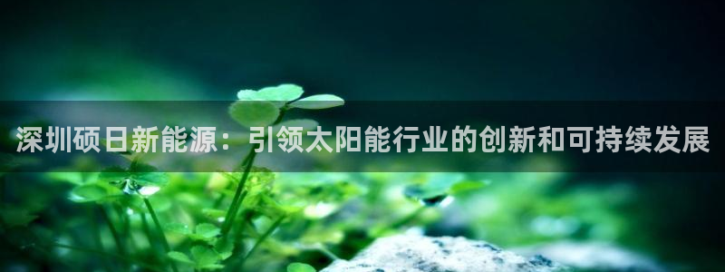 下载申搏sunbet并安装app