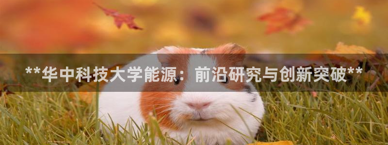 申博官网电脑版下载