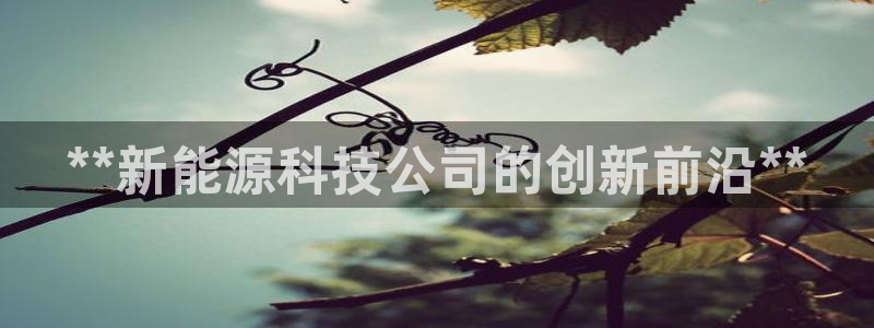 申博手机版app下载