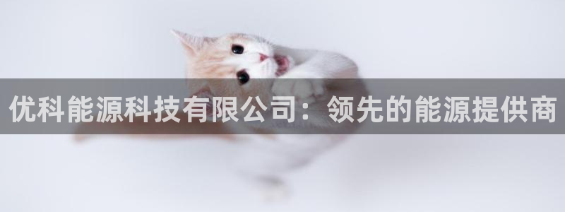 sunbet苹果app