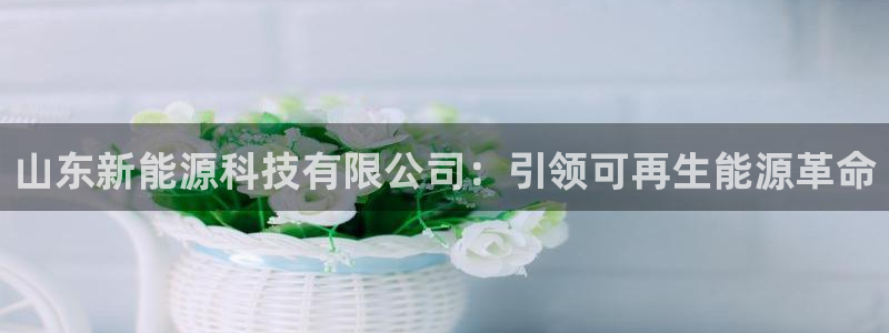 申博手机版官网