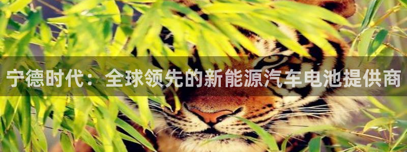 sunbet游戏地址