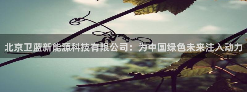 sunbet燃气灶