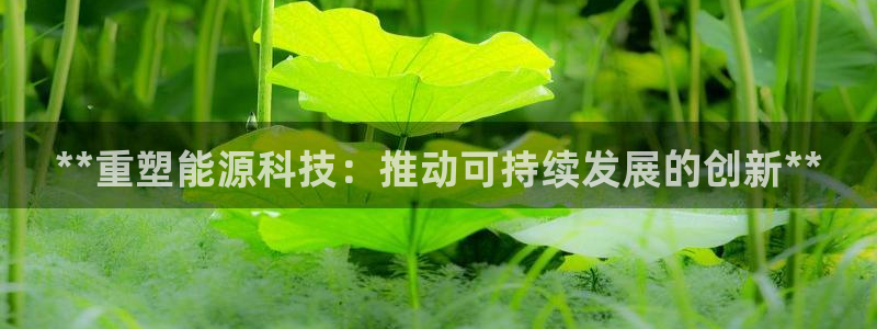 sunbet官网登录首页