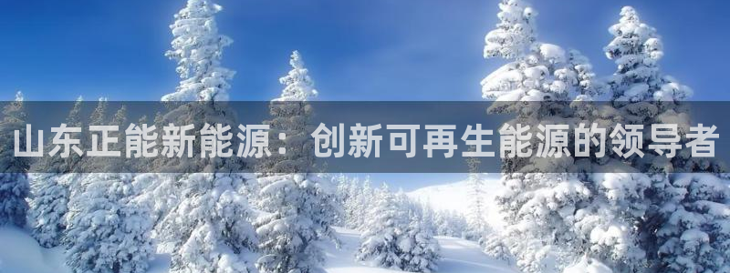 申博官网电脑版下载