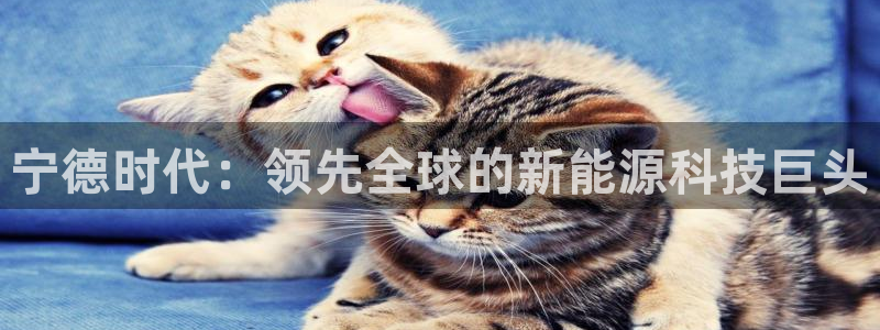 sunbet手机端