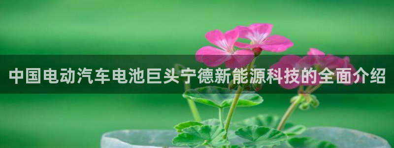 sunbet苹果官网下载