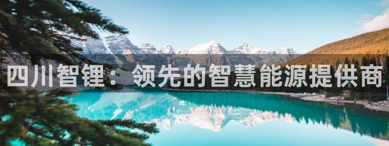 申博手机网站