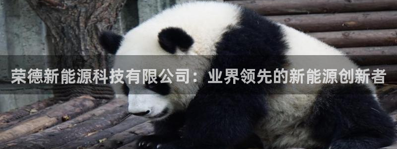 sunbet游戏地址