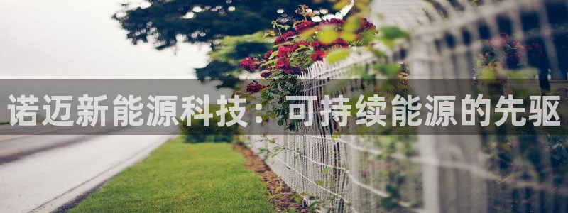 sunbet官网代理下载