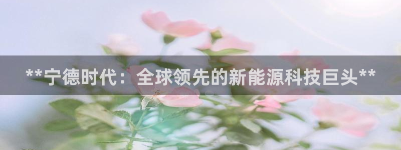 sunbet燃气灶