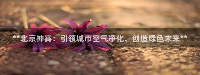 sunbet苹果app