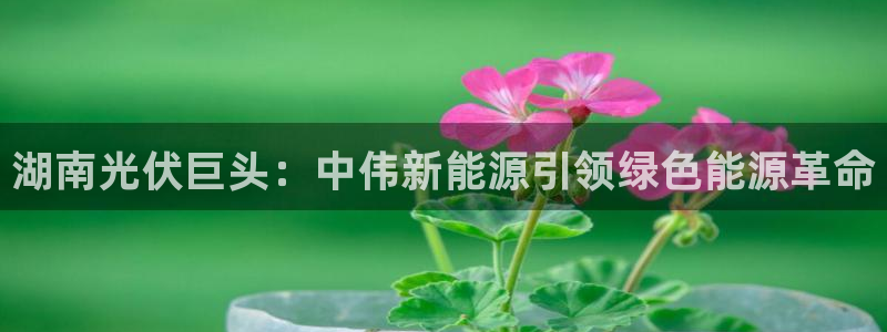 sunbet手机端