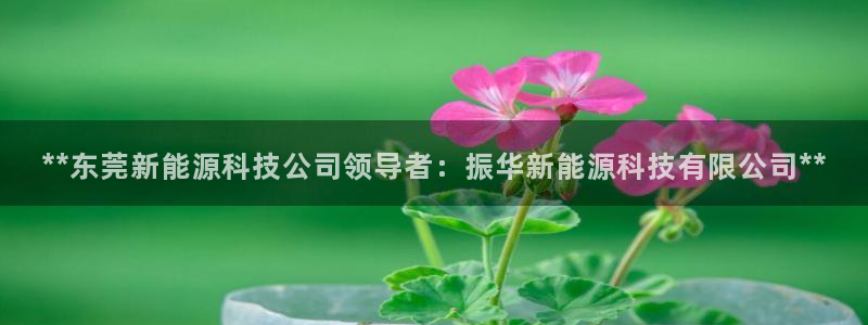 申博app下载