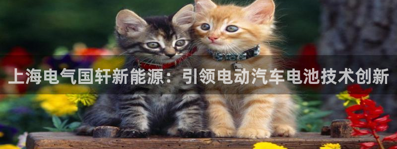 sunbet手机app版