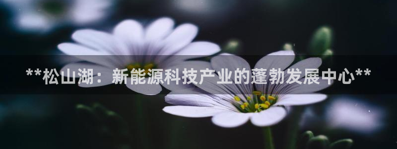 sunbet游戏网
