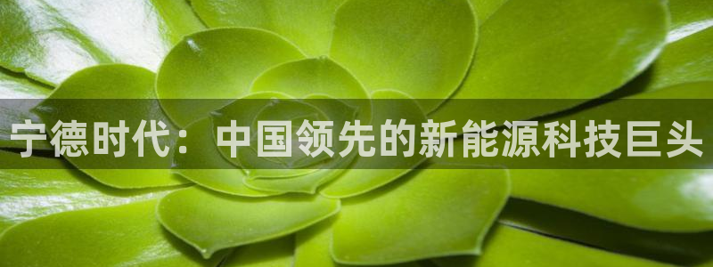申博手机网址