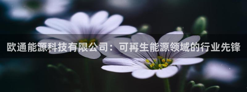sunbet最新消息