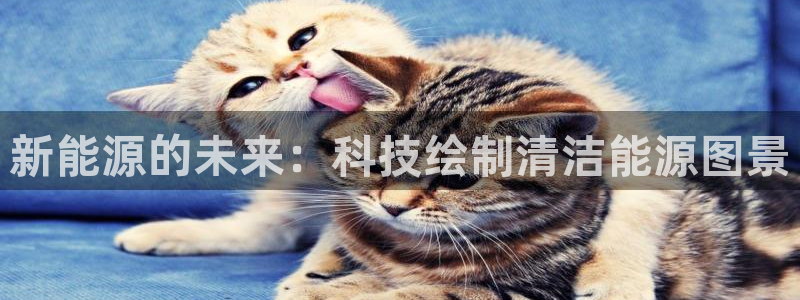 sunbet官网登录首页