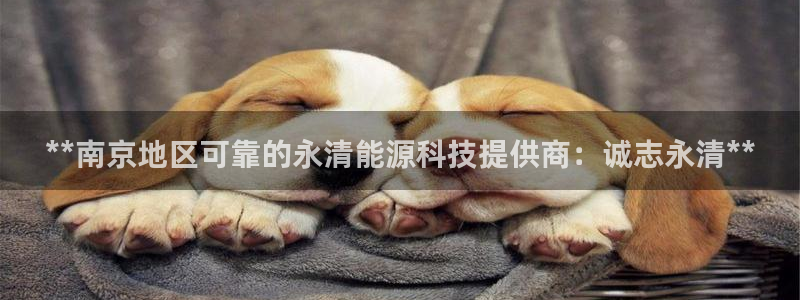 sunbet官网开户登录手机版