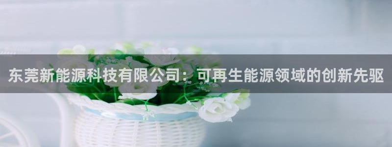 sunbet燃气灶