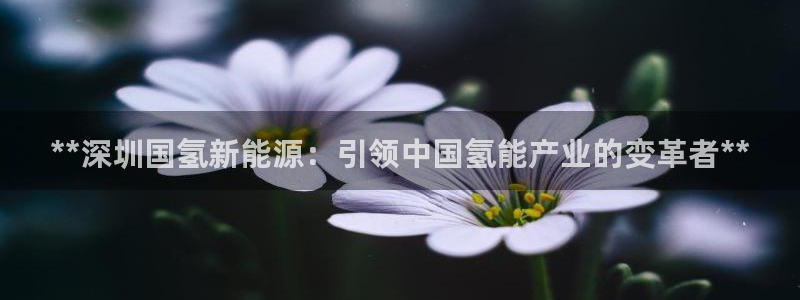 申博官网手机客户端