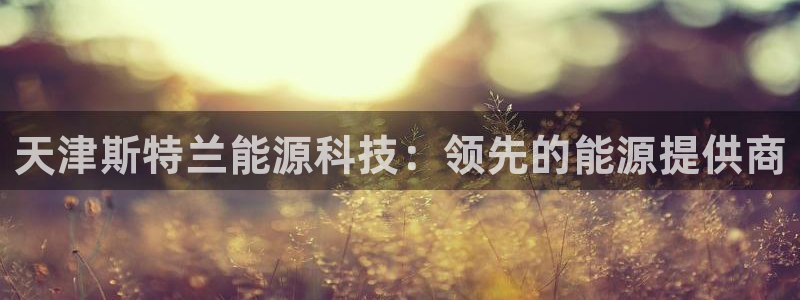 sunbet源码