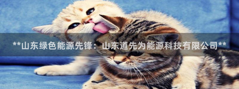 申博手机版官网