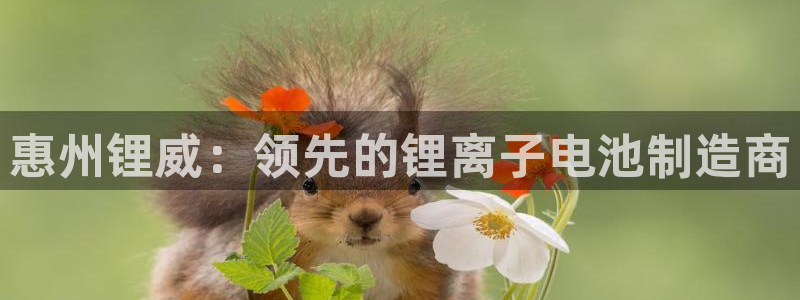 sunbet英语翻译