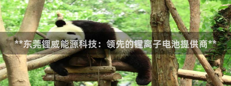 sunbet游戏最新版
