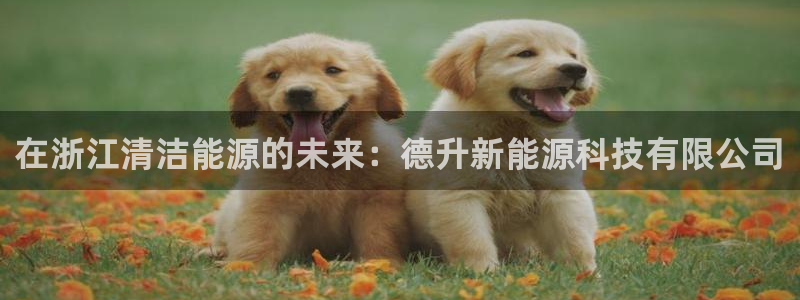 申慱sunbet手机版登