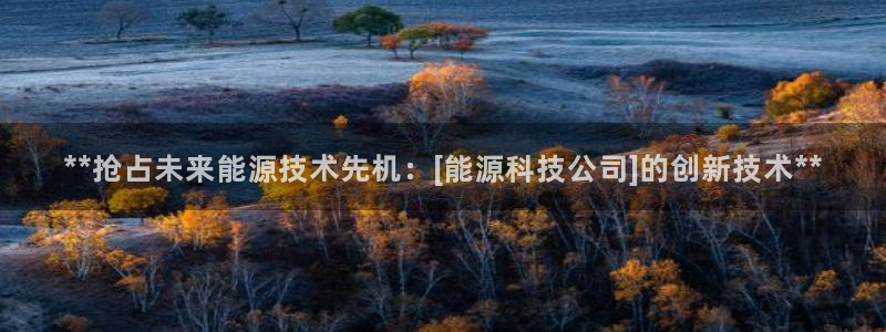 申博手机网址