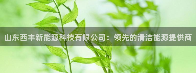 sunbet游戏最新版