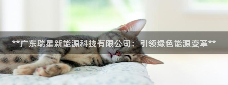 sunbet手机版登录