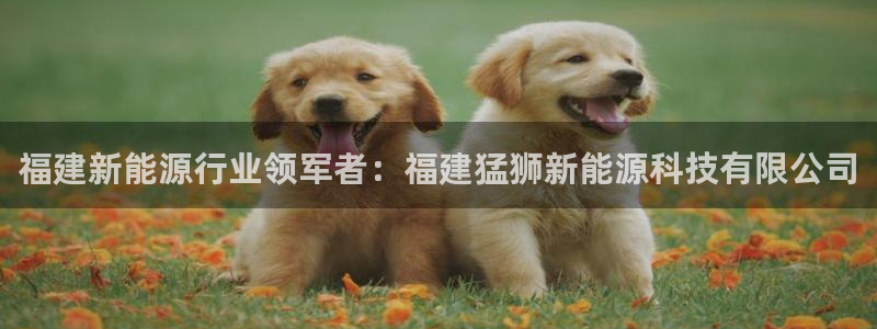sunbet申搏app下载