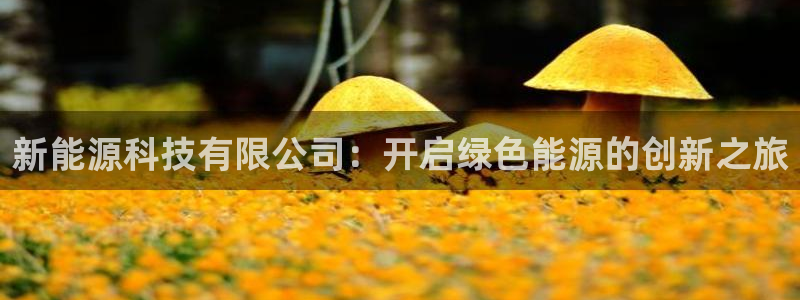 sunbet中文