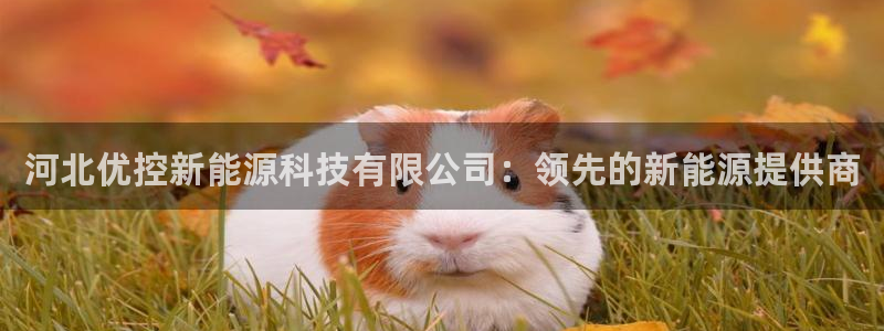 sunbet手机网页版下载