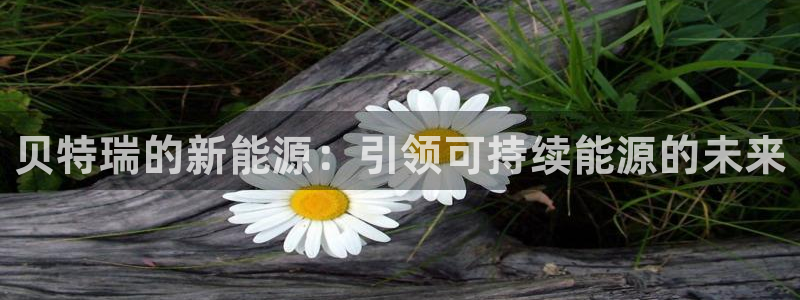 sunbet申搏平台