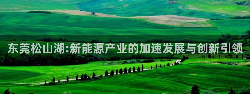 sunbet英语翻译