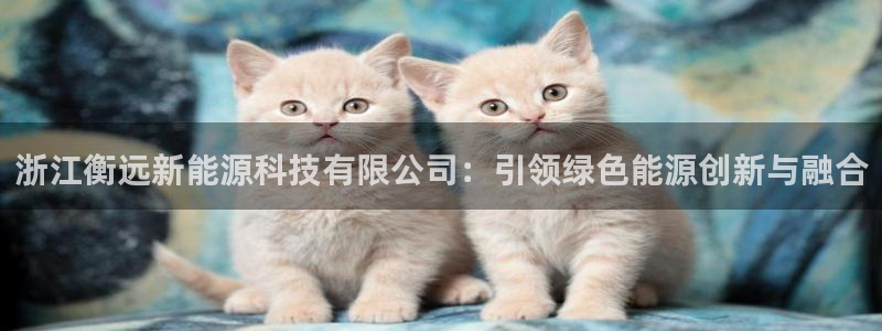 sunbet官网手机版登录