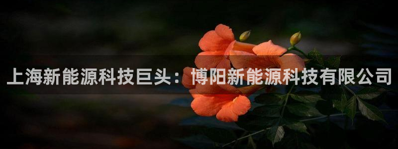申博官方网站手机版下载