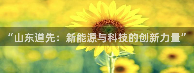 sunbet官网手机版