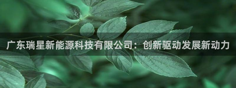 sunbet官网app首页