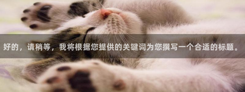 sunbet源码