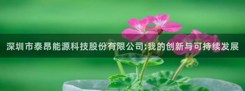 sunbet手机网页版
