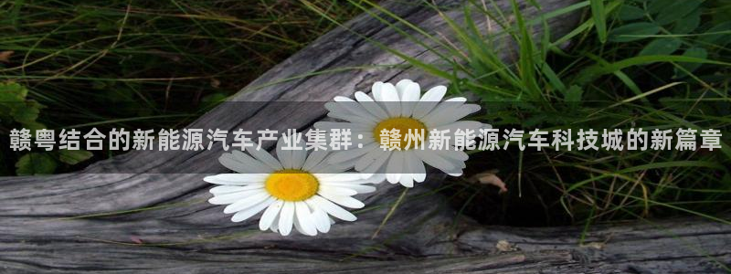 sunbet线上真人手机版