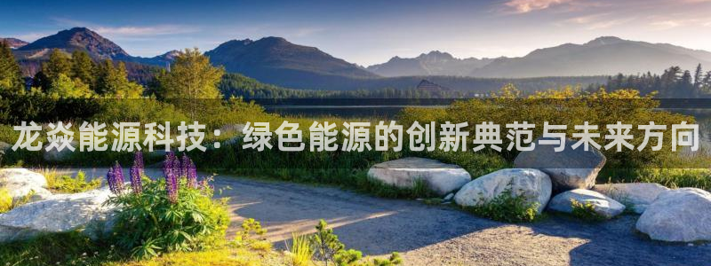 申博官网手机客户端